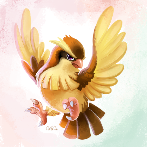 evolucion-de-pidgey-pidgey